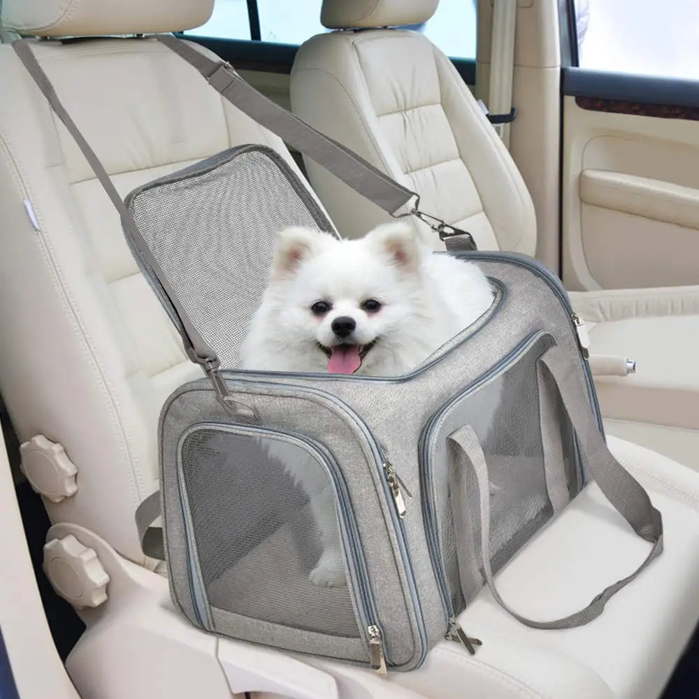 Hunde- & Katzen-Reisetasche – Weich, Wasserdicht, Flugtauglich, M/L