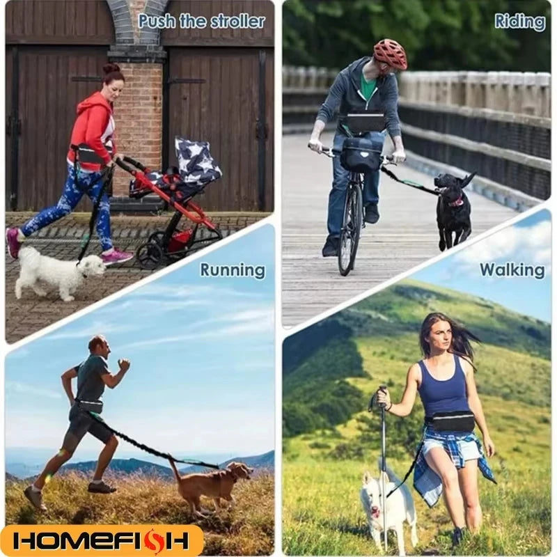 Freihändige Hundeleine mit Hüfttasche – Reflektierend, Elastisch, Für Joggen & Spazieren