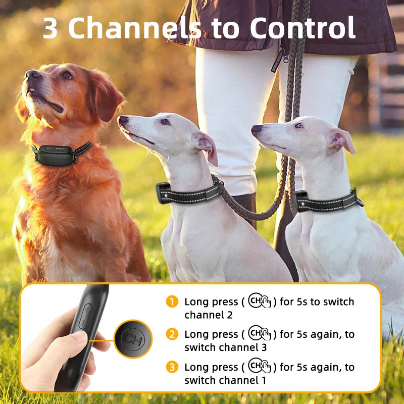Hundetrainings-Halsband E-Collar – 1000m Reichweite, IPX7, 16 Stufen, Wiederaufladbar