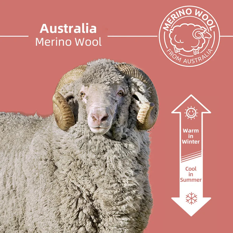 ZEALWOOD Merino-Woll Baselayer | Langarm-Shirt für Damen & Herren