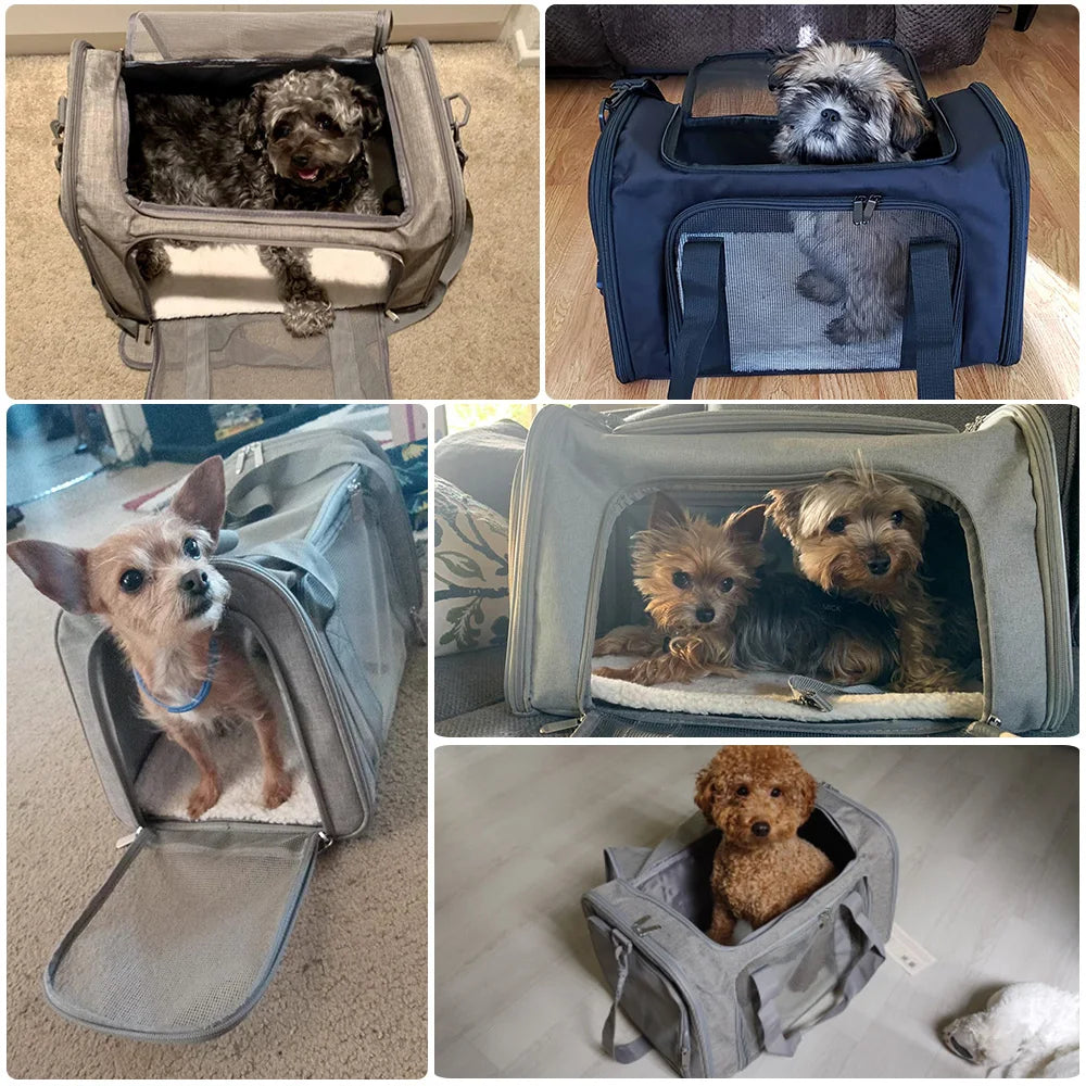 Hunde- & Katzen-Reisetasche – Weich, Wasserdicht, Flugtauglich, M/L