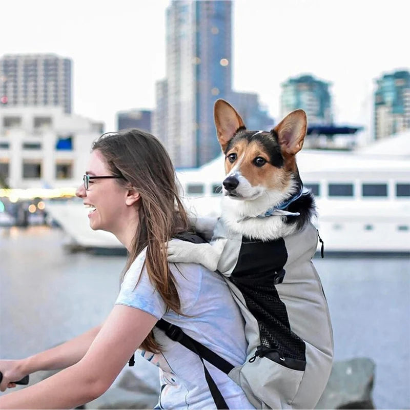 Hunde-Tragetasche Rucksack – Atmungsaktiv, Nylon, Für Kleine & Mittlere Hunde